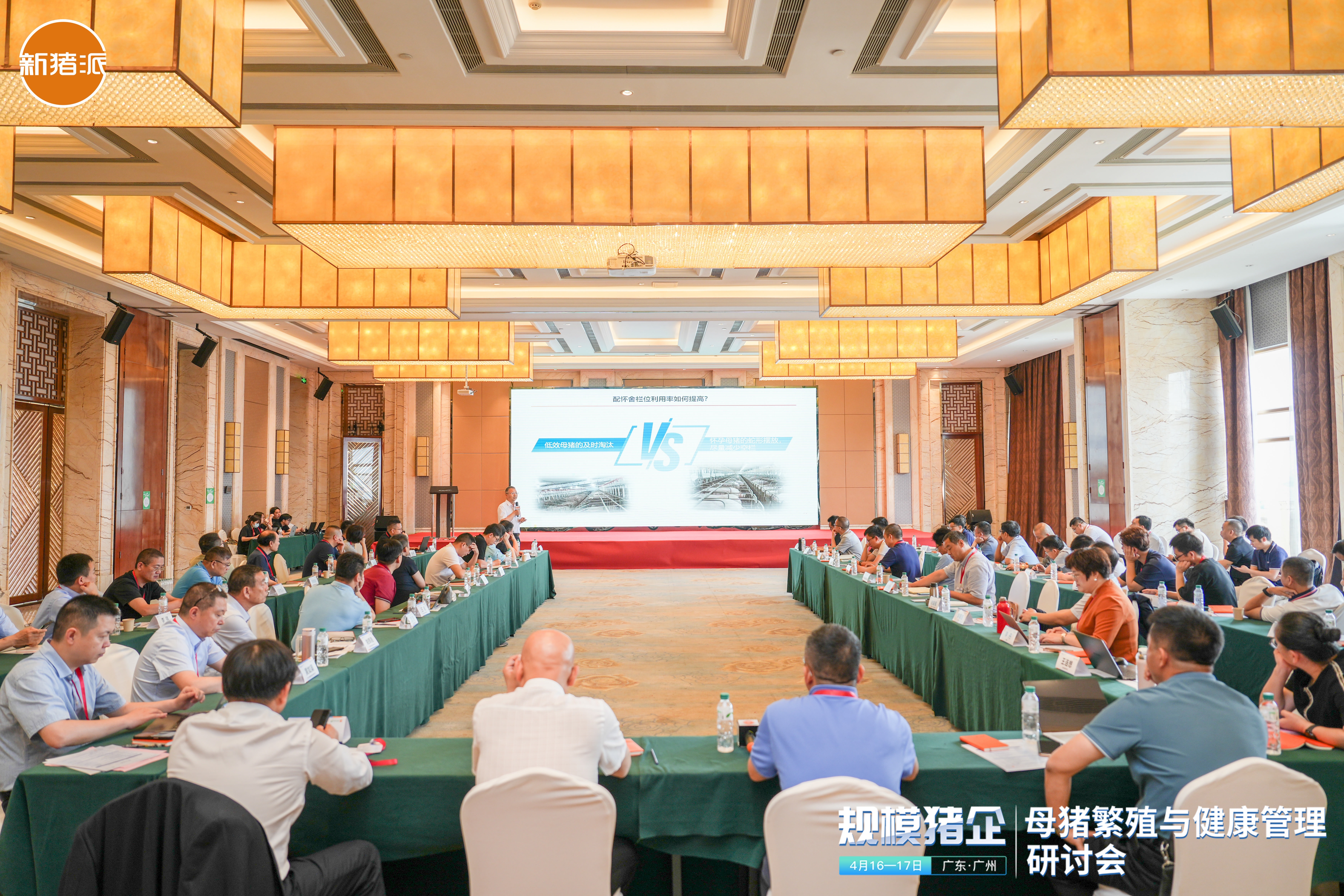 伟杰信成功协办的“规模猪企——母猪繁殖与健康管理研讨会”圆满落幕